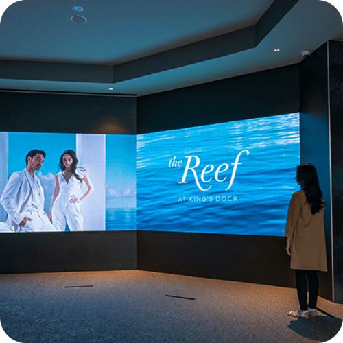 Reef King's Dock